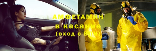 мяу мяу мука Елабуга