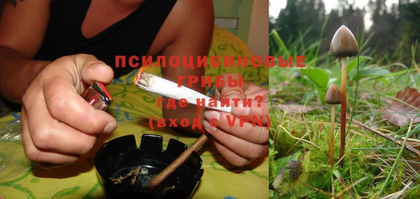 мескалин Ельня
