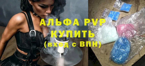 мяу мяу мука Елабуга