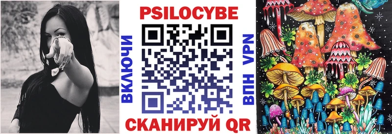 omg вход  Городище  Псилоцибиновые грибы Cubensis 